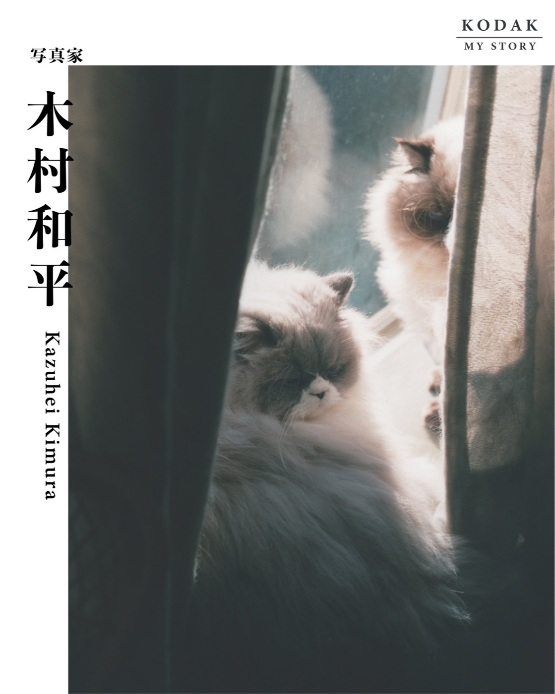 KODAK 「My Story」