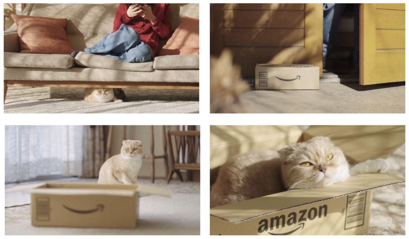 AMAZON JAPAN | ムービー撮影